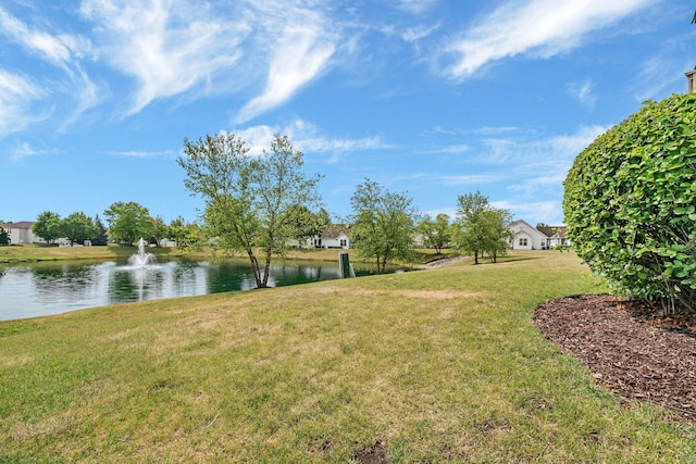1629 Fieldstone S Dr, Shorewood, IL 60404 - photo 32