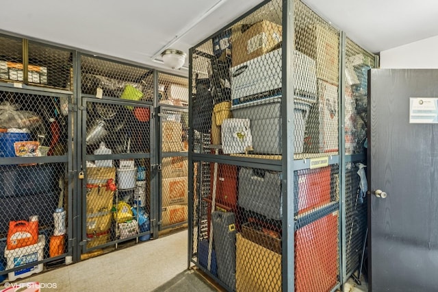 1111 Pleasant Run Dr Unit 905, Wheeling, IL 60090 - view of storage area