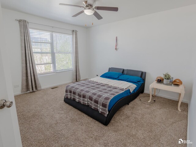 424 Grape Vine Trl, Oswego, IL 60543 - carpeted bedroom featuring baseboards and a ceiling fan