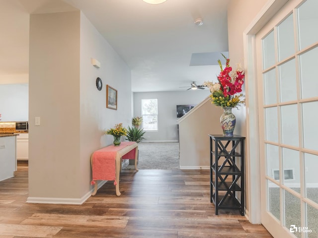 424 Grape Vine Trl, Oswego, IL 60543 - corridor with wood finished floors