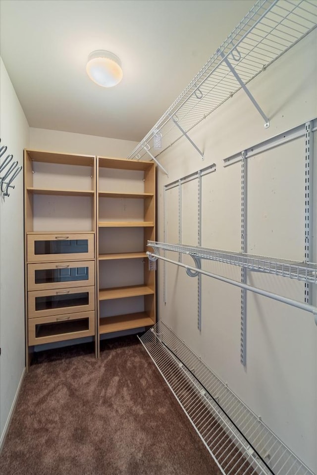 627 S Jade Ln, Round Lake, IL 60073 - spacious closet with dark carpet
