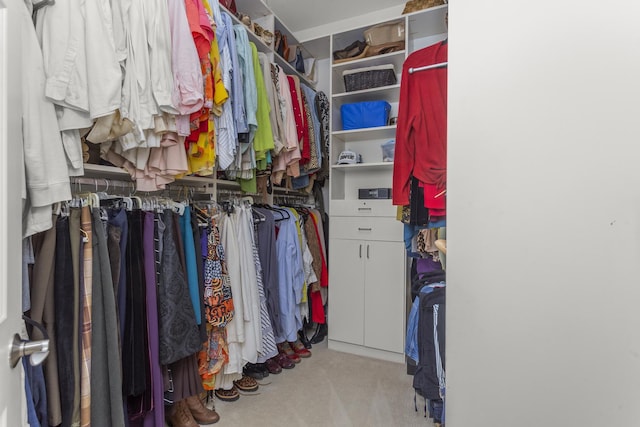 1780 Briarheath Dr, Aurora, IL 60505 - walk in closet featuring carpet flooring