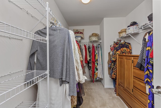 1780 Briarheath Dr, Aurora, IL 60505 - spacious closet featuring carpet flooring
