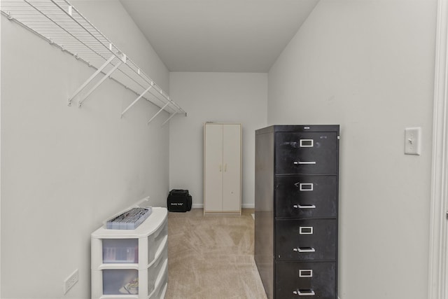 1780 Briarheath Dr, Aurora, IL 60505 - walk in closet with carpet
