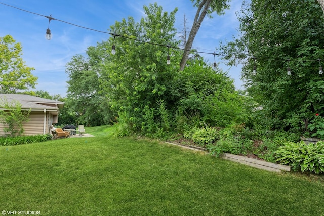 5S671 Buttonwood Ct, Naperville, IL 60540 - photo 24