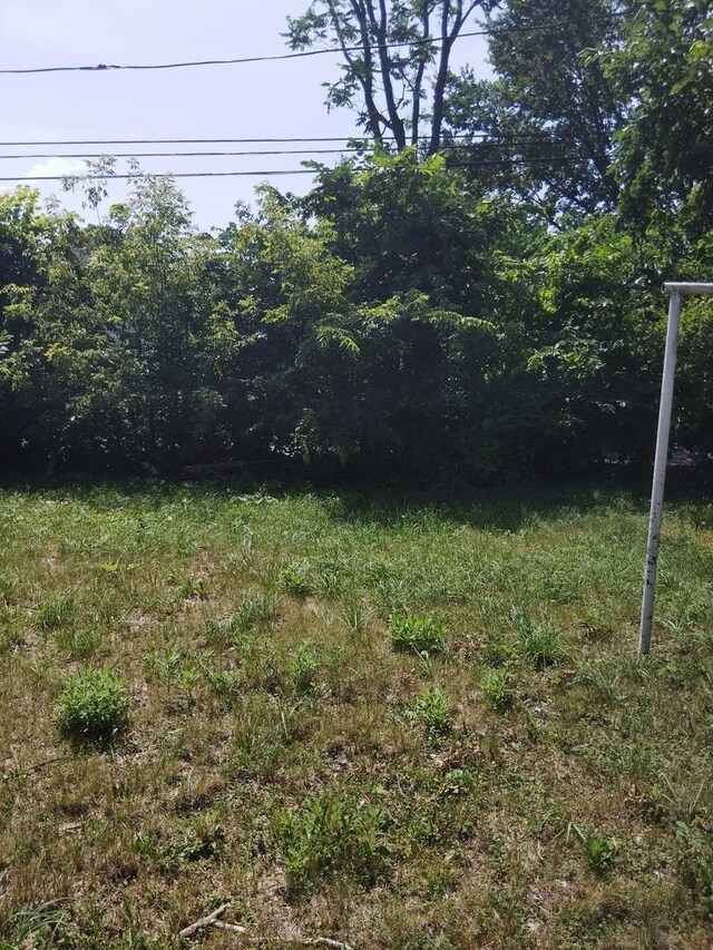 11536 S La Salle St, Chicago, IL 60628 - photo 7