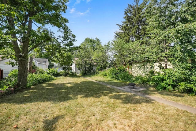 208 Frank Ave, Joliet, IL 60435 - view of green lawn
