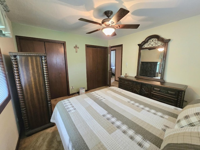 3N736 Locust Ave, West Chicago, IL 60185 - bedroom with carpet floors, two closets, and ceiling fan