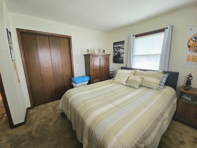 3N736 Locust Ave, West Chicago, IL 60185 - bedroom featuring carpet floors and a closet