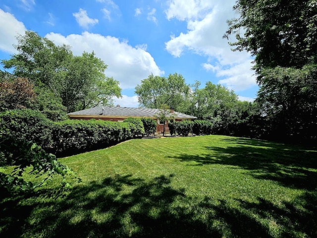 3N736 Locust Ave, West Chicago, IL 60185 - view of grassy yard