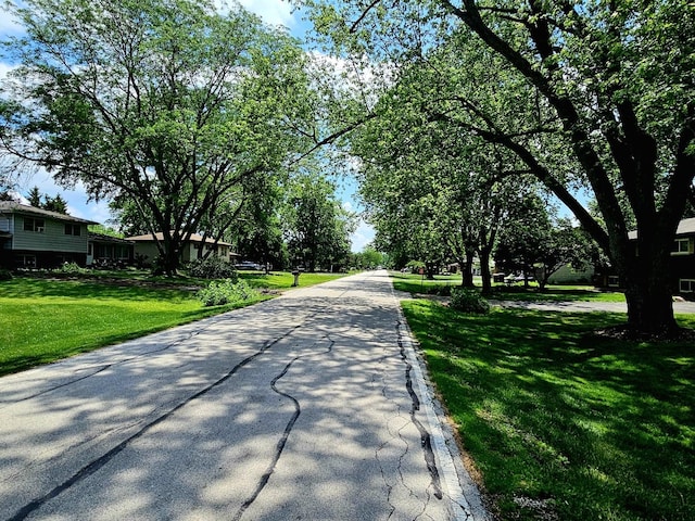 3N736 Locust Ave, West Chicago, IL 60185 - view of asphalt road