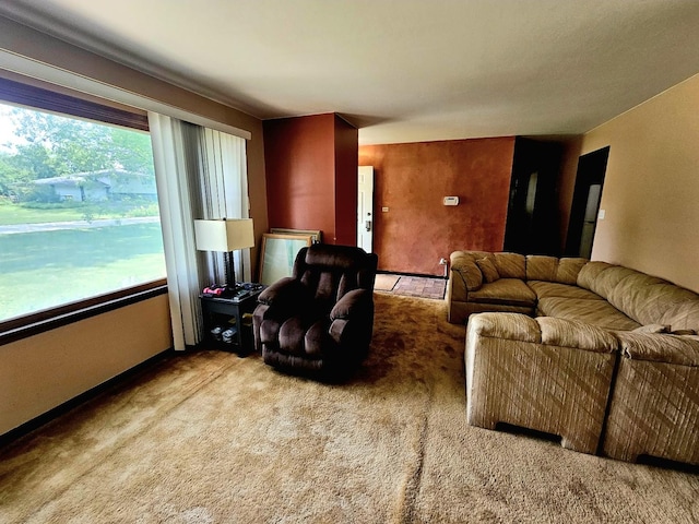 3N736 Locust Ave, West Chicago, IL 60185 - view of carpeted living room