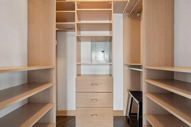 1250 N Dearborn St Unit 10B, Chicago, IL 60610 - spacious closet with dark wood-style floors