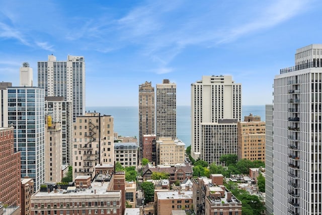1250 N Dearborn St Unit 10B, Chicago, IL 60610 - view of city skyline featuring a nearby body of water