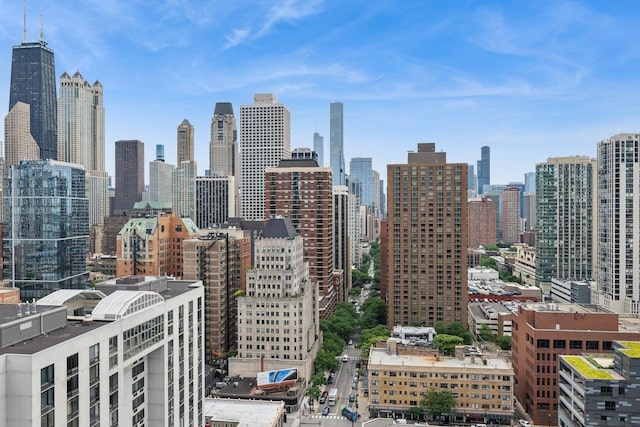1250 N Dearborn St Unit 10B, Chicago, IL 60610 - skyline view