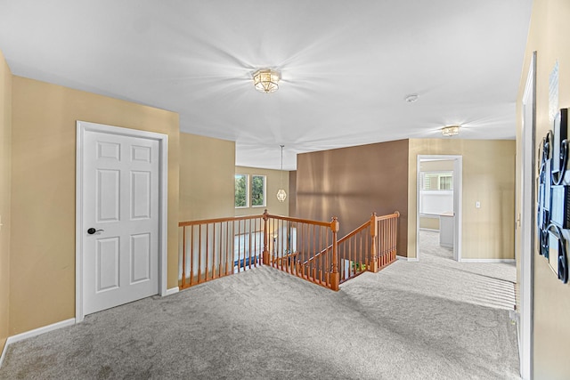 1642 Aster Dr, Romeoville, IL 60446 - photo 18