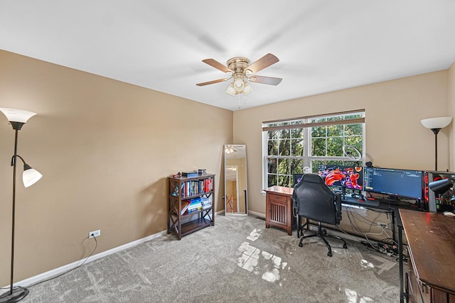 1642 Aster Dr, Romeoville, IL 60446 - photo 21