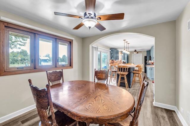 9822 W Pauling Rd, Monee, IL 60449 - dining room with arched walkways, light wood-style floors, and a ceiling fan