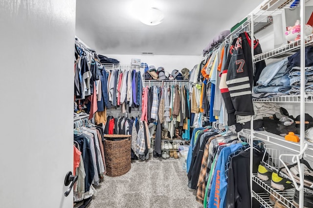 9822 W Pauling Rd, Monee, IL 60449 - spacious closet featuring carpet floors