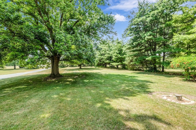 9822 W Pauling Rd, Monee, IL 60449 - view of green lawn