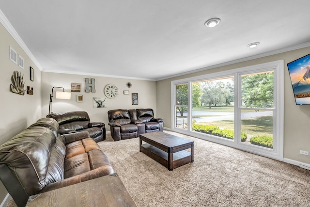 9822 W Pauling Rd, Monee, IL 60449 - carpeted living room with ornamental molding and baseboards