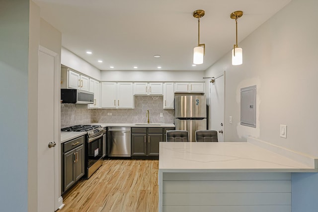 9562 Park Ln Unit 1D, Des Plaines, IL 60016 - kitchen featuring appliances with stainless steel finishes, electric panel, light wood-style floors, a peninsula, and decorative backsplash