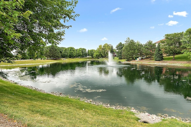 11110 Waters Edge Dr Unit 2A, Orland Park, IL 60467 - photo 38