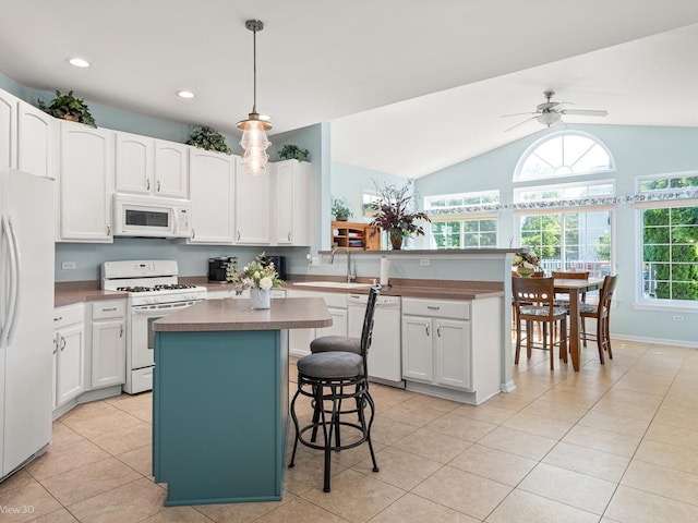 740 Dalton Ln, Bolingbrook, IL 60490 - photo 12