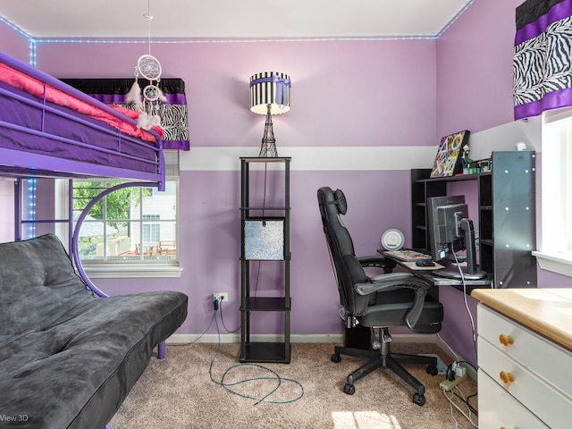 740 Dalton Ln, Bolingbrook, IL 60490 - photo 26