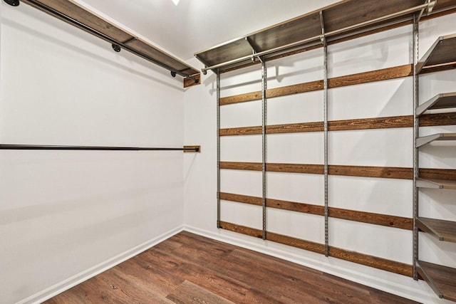 101 Bar Harbour Rd Unit 5N, Schaumburg, IL 60193 - walk in closet featuring dark wood-type flooring