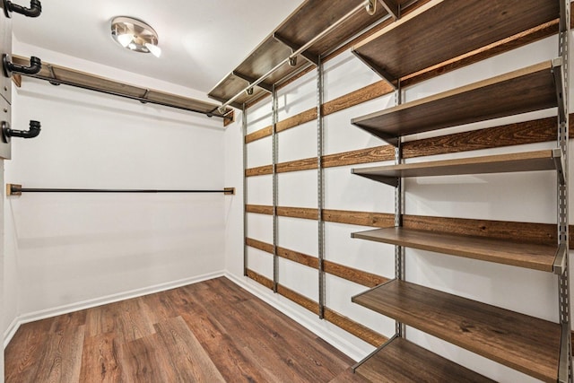 101 Bar Harbour Rd Unit 5N, Schaumburg, IL 60193 - walk in closet with dark wood-style floors