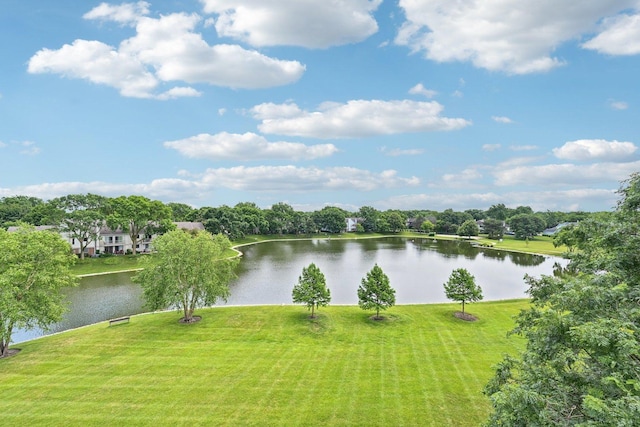 101 Bar Harbour Rd Unit 5N, Schaumburg, IL 60193 - water view