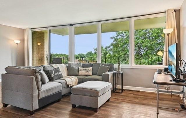 101 Bar Harbour Rd Unit 5N, Schaumburg, IL 60193 - living area with plenty of natural light and wood finished floors