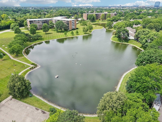 101 Bar Harbour Rd Unit 5N, Schaumburg, IL 60193 - bird's eye view of a nearby body of water
