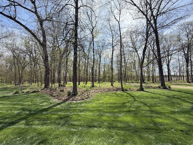 11307 Timber Lane Rd, Lena, IL 61048 - photo 79