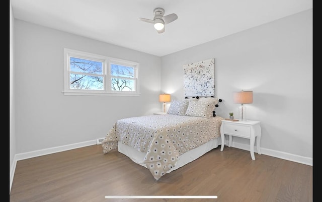 1933 Birch St, Des Plaines, IL 60018 - bedroom featuring wood finished floors and a ceiling fan