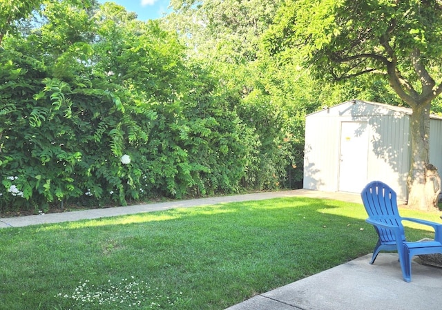 1933 Birch St, Des Plaines, IL 60018 - view of green lawn with a storage unit