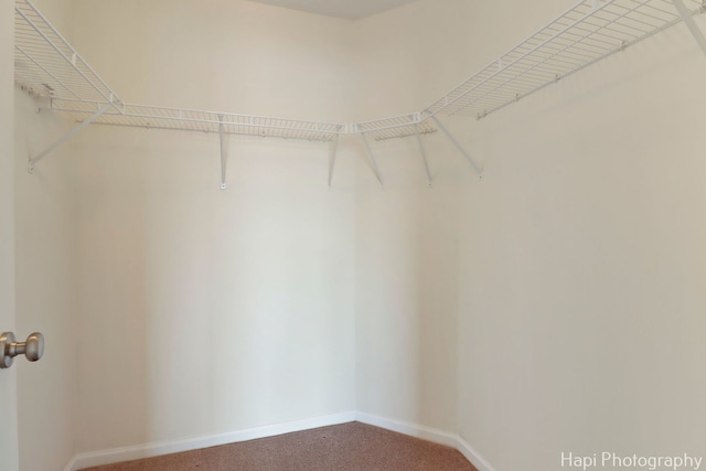 548 Legend Ln, Mchenry, IL 60050 - spacious closet featuring carpet floors