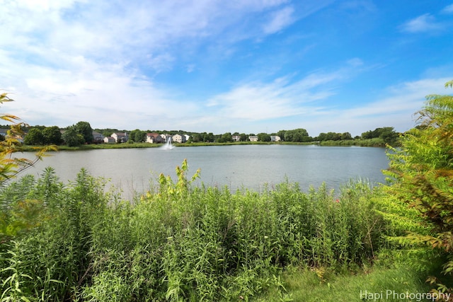 548 Legend Ln, Mchenry, IL 60050 - water view