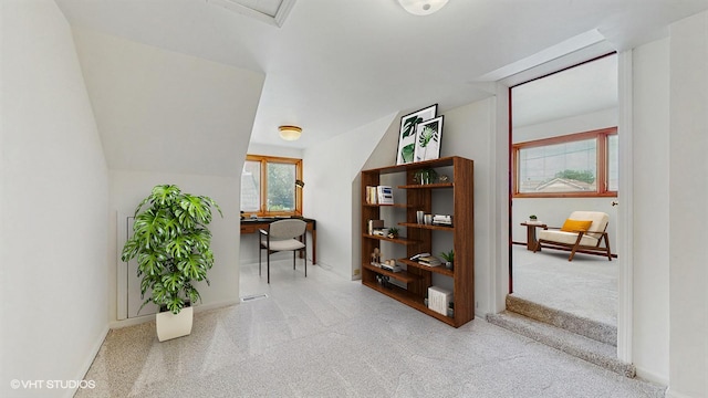 8147 Laramie Ave, Skokie, IL 60077 - photo 15