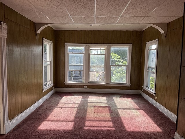 6044 S Justine St, Chicago, IL 60636 - unfurnished sunroom with wooden walls, arched walkways, and carpet floors