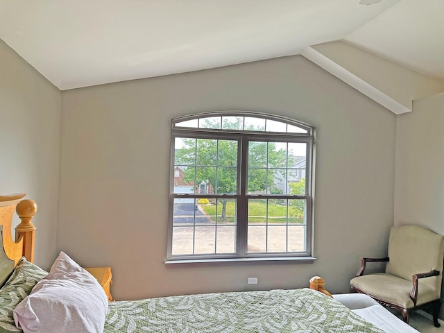 6814 Sahara Dr, Plainfield, IL 60586 - bedroom with vaulted ceiling