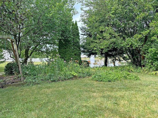 6814 Sahara Dr, Plainfield, IL 60586 - view of yard featuring a water view