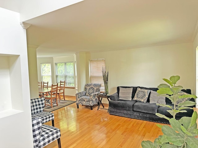 6814 Sahara Dr, Plainfield, IL 60586 - living room with crown molding and light wood-style floors