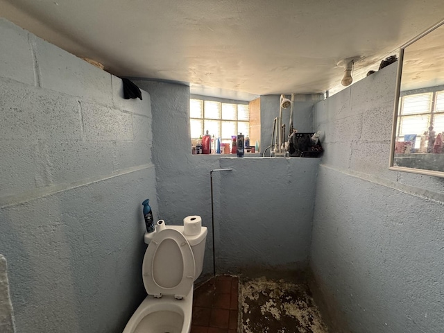 368 N Hickory St, Joliet, IL 60435 - bathroom featuring toilet