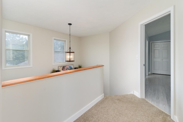 1503 Bear Creek Dr, Bloomington, IL 61704 - photo 23
