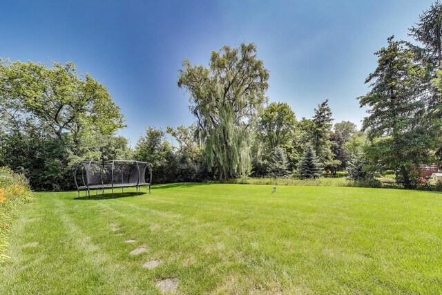 6 Steeplechase Dr, Hawthorn Woods, IL 60047 - photo 51