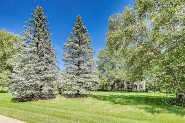 6 Steeplechase Dr, Hawthorn Woods, IL 60047 - photo 62