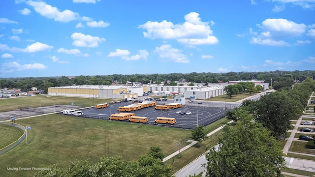 15223 Cottage Grove Ave, Dolton, IL 60419 - aerial view of a tree filled landscape