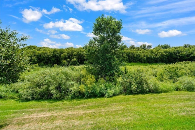 2201 Concord Dr Unit 2201, Mchenry, IL 60050 - view of yard with a forest view